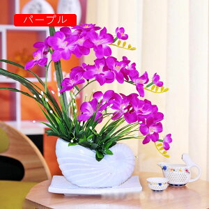 tFCNt[ Ӓ ~  CeA  J^c`̉ԕr ԃZbg u[P A c LC A JXj  Vj Vz  x_ u 