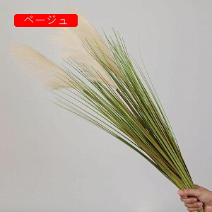 ۂ̑  tFCNO[ i` ͂Ȃ bsv Y 傫 A[gt[ CeA x_    AW Be x[W