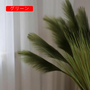 ۂ̑  tFCNO[ i` ͂Ȃ bsv Y 傫 A[gt[ CeA x_    AW Be x[W