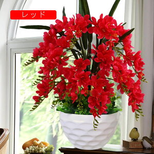 Ӓ  CeA Ԃ̉ԑ t ϗtA LC tFCNt[ u[P ԃZbg ͂Ȃ tFCNO[ rO ItBX ze  u ʐ^Be V