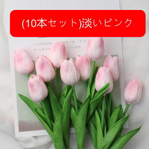 10{Zbg  `[bv tFCNt[ ԑ u[P ͂Ȃ Y ins A[gt[ z̉ CeA LO ̓ v[g j rO sNjbN  