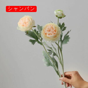  O {^̉ԑ u[P g ͂Ȃ bsv A[gt[ tFCN lH CeA EGfBO e[u AW I[ig Be j v[g 