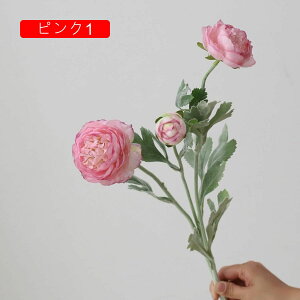  O {^̉ԑ u[P g ͂Ȃ bsv A[gt[ tFCN lH CeA EGfBO e[u AW I[ig Be j v[g 