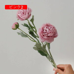  O {^̉ԑ u[P g ͂Ȃ bsv A[gt[ tFCN lH CeA EGfBO e[u AW I[ig Be j v[g 