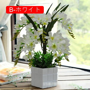  Ӓ Ԃ̉ԑ ԕrt lHϗtA LC tFCNt[ u[P ͂Ȃ CeA ƒ ItBX ʐ^Be  u JXj ̓Mtg Vj v[