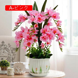  Ӓ Ԃ̉ԑ ԕrt lHϗtA LC tFCNt[ u[P ͂Ȃ CeA ƒ ItBX ʐ^Be  u JXj ̓Mtg Vj v[