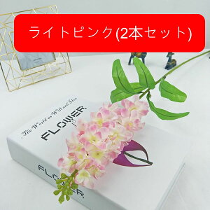 A[gt[  X~ ͂Ȃ k ԑ { tFCNt[ EFfBO u[P   CeA u p[eB[  a  i v[