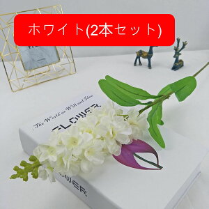 A[gt[  X~ ͂Ȃ k ԑ { tFCNt[ EFfBO u[P   CeA u p[eB[  a  i v[