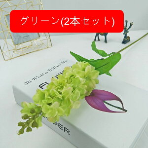 A[gt[  X~ ͂Ȃ k ԑ { tFCNt[ EFfBO u[P   CeA u p[eB[  a  i v[