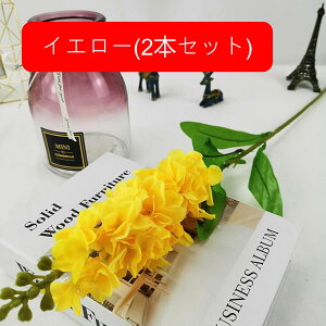 A[gt[  X~ ͂Ȃ k ԑ { tFCNt[ EFfBO u[P   CeA u p[eB[  a  i v[