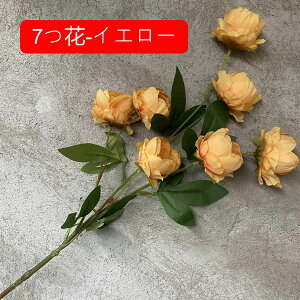  O ͂Ȃ A[gt[ ڂԑ { tFCNt[ u[P   u CeA z[ ItBX iX  sO    FI