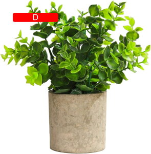 tFCNO[ ~j  A ~ t lHϗtA { k c CeA ItBX X  Be u ͂Ȃ b炸  JXj Vzj v