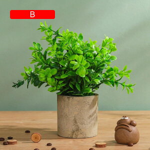 tFCNO[ ~j  A ~ t lHϗtA { k c CeA ItBX X  Be u ͂Ȃ b炸  JXj Vzj v