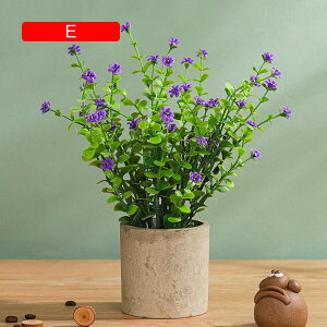 tFCNO[ ~j  A ~ t lHϗtA { k c CeA ItBX X  Be u ͂Ȃ b炸  JXj Vzj v