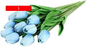 10{Zbg  `[bv  A[gt[ u[P ԑ ̓ ԃMtg ͂Ȃ ʐ^Be j v[g CeA 