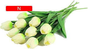 10{Zbg  `[bv  A[gt[ u[P ԑ ̓ ԃMtg ͂Ȃ ʐ^Be j v[g CeA 