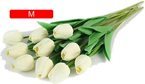 10{Zbg  `[bv  A[gt[ u[P ԑ ̓ ԃMtg ͂Ȃ ʐ^Be j v[g CeA 