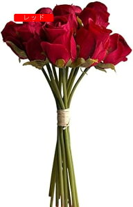  ԑ o 12{ ͂Ȃ  KN  CeA ̓ v[g o^C  t[Mtg