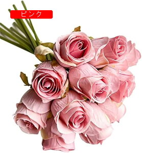  ԑ o 12{ ͂Ȃ  KN  CeA ̓ v[g o^C  t[Mtg