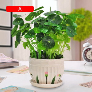 tFCNO[ ϗtA  ΐA { ͂Ȃ b炸 lH A ~ CeA ItBX ƒ X  u ԃZbg rO///ʑ 蕨 v