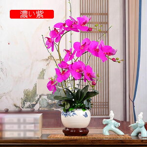  Ӓ CeA  ԕrt ԃZbg tFCNt[ u[P ͂Ȃ bsv Y  A ~  rO  er u   ] ̓ v