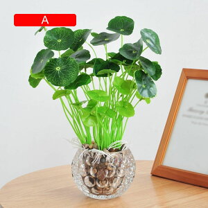 ϗtA  KXt {  ͂Ȃ bsv lH tFCNO[ CeA ItBX X  JƏj rO///ʑ/Qp A 蕨 v