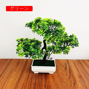 ϗtA  A ւ̉ lHϗtA tFCNO[  24cm ~ CeA  ItBX X  u ͂Ȃ b炸  JXj 蕨 v[g o