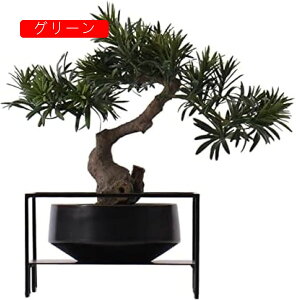 V~[VA~ lH~́AtFCNvgAlHϗtAQXgO[eBO~͐AZ~bNA ̂߂̑Ԃ̗΂̑