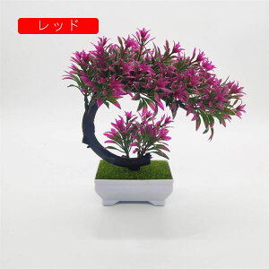 lHϗtA tFCNO[ ~j  A { 21cm*20cm ~ CeA ItBX X  u ͂Ȃ b炸  JXj ]j v[