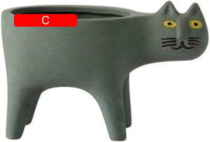 Aؔ  픫 A ϗtA T{e t[|bg K[fjO XJ[tt  v^[ CeA 퐻 k Ƒ L^ 