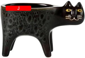 Aؔ  픫 A ϗtA T{e t[|bg K[fjO XJ[tt  v^[ CeA 퐻 k Ƒ L^ 