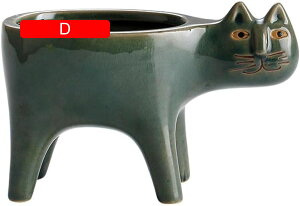 Aؔ  픫 A ϗtA T{e t[|bg K[fjO XJ[tt  v^[ CeA 퐻 k Ƒ L^ 