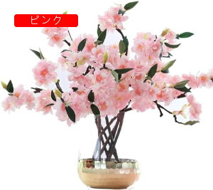 ̎} ԃu[P 3{Zbg lH  ̉  ԉԑ t̉ VN̉ ͂Ȃ Ԍ   X܏ ԗ ̓  p[eB[ Be 4