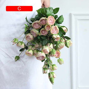  CeA F 10{ [Y o KN ͂Ȃ A[gt[ ̓v[g Mtg 킢 j   X iX  p[eB[ a ԑ 蕨̉ l