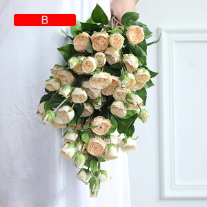  CeA F 10{ [Y o KN ͂Ȃ A[gt[ ̓v[g Mtg 킢 j   X iX  p[eB[ a ԑ 蕨̉ l