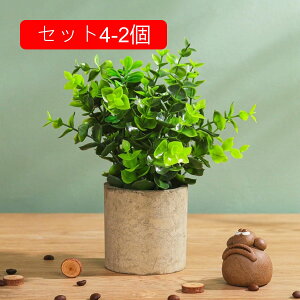 tFCNO[ [J lHϗtA  A ~  ~j CeA   sv bsv p Vzj ̓ ̓ Ղ 蕨 ItBX z[ f