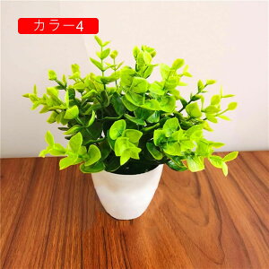 ϗtA  [K A ԃZbg lHϗtA tFCNO[ { ~ CeA  ItBX X   u ͂Ȃ b炸  蕨 v[