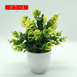 ϗtA  [K A ԃZbg lHϗtA tFCNO[ { ~ CeA  ItBX X   u ͂Ȃ b炸  蕨 v[