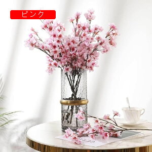   6{Zbg  t̉  VN ̉ ͂Ȃ ԑ lHϗtA t[AWg ʐ^Be JXj a    40cm/{