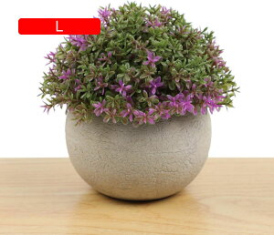 lHϗtA A ~ |    K[f ItBX rO[ { A } CeA Bep  蕨 b炸 v[g   l