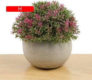 lHϗtA A ~ |    K[f ItBX rO[ { A } CeA Bep  蕨 b炸 v[g   l