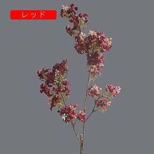 4{ CbN  CeA k  tFCNt[ A ԑ sN A[eBtBVt[ X^CbV { 蕨 v[g ̓ Ȃ JXj