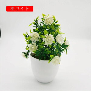 tFCNO[ lHϗtA  [YԔA  ~ CeA ItBX X  u { ͂Ȃ lH Vj ]j Ԏ