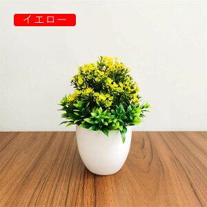 ϗtA  t  lH A  ~ CeA ItBX X  u ԃZbg { ͂Ȃ bsv rO///ʑ/Qp tFCNO[