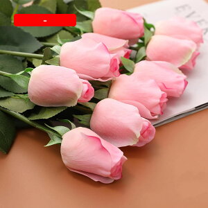  CeA sN 10{ [Y o KN ͂Ȃ A[gt[ ̓v[g Mtg 킢 j   X iX  p[eB[ a ԑ 蕨̉