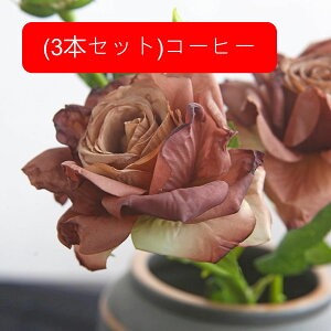  [Y ỏԑ u[P g ͂Ȃ A[gt[ CeA e[u AW I[ig Be  o^C NX}X j v[g 蕨 3