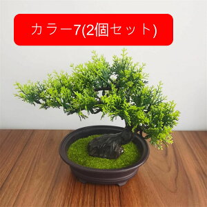 ϗtA  A lHϗtA tFCNO[ { ~ CeA  ItBX X  u ͂Ȃ b炸  JXj Vzv[g 2Zbg