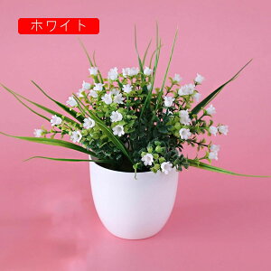 lHϗtA  tFCNt[ ~j A  k CeA  vX`bN tFCNO[ p  ItBX z[  Ԃ̖~ e[u̒u Vzj