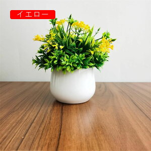 tFCNO[ lHϗtA ~j  A  ~ CeA ItBX X  u ԃZbg ͂Ȃ bsv rO///ʑ/Qp lH Vj ]