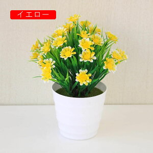  lHϗtA CeA ~j A  k tFCNt[ tFCNO[  nӓI   ItBX z[  Be Ԃ̖~ e[u̒u Vz